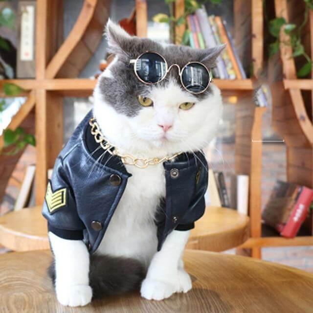 Leather Pet Jacket - Image 1