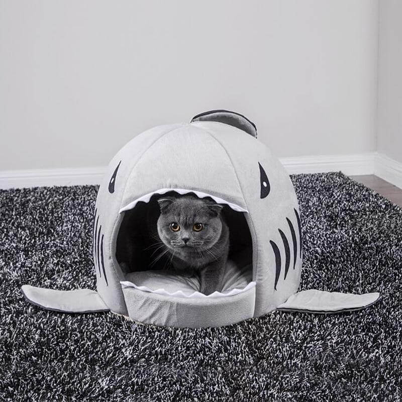 Pet Shark House - Image 0