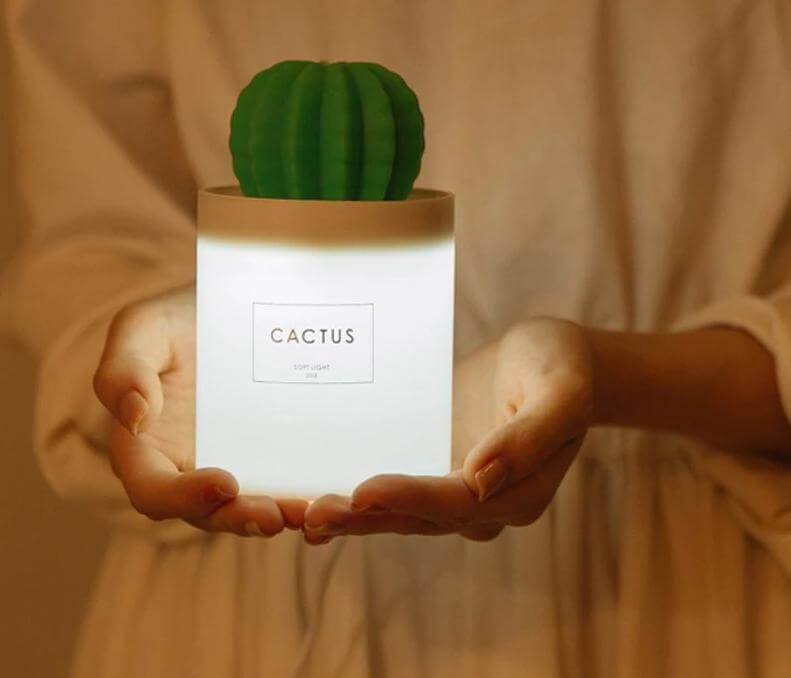 Cactus Ultrasonic Aromatherapy Humidifier - Image 0