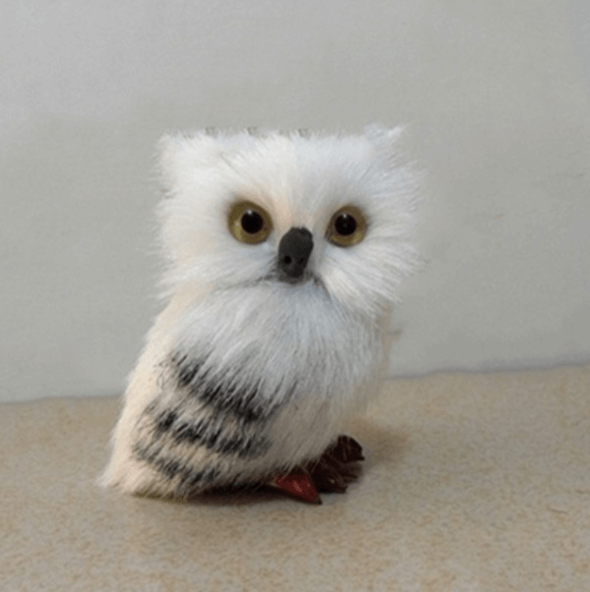 Cute Owl Home Decor - MaviGadget