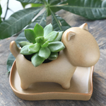 Elephant Minimal Ceramic Flower Pot