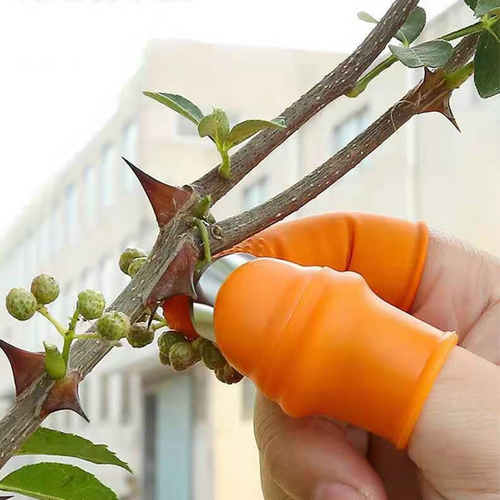 Thumb Cutter Knife - Image 0