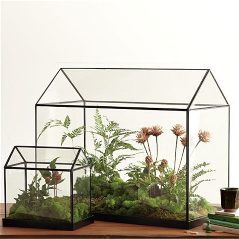 Mini Tabletop Handmade GreenHouse Terrarium - Image 0
