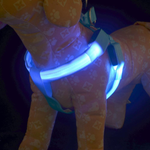 Rechargeable Luminous LED Dog Leash