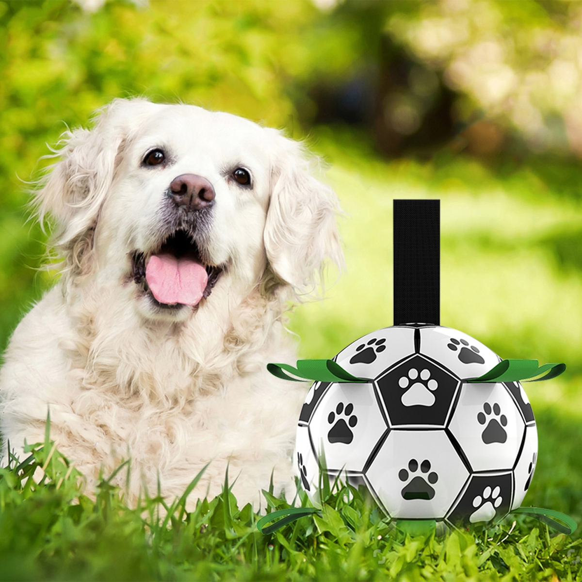 Interactive Pet Training Toy Ball