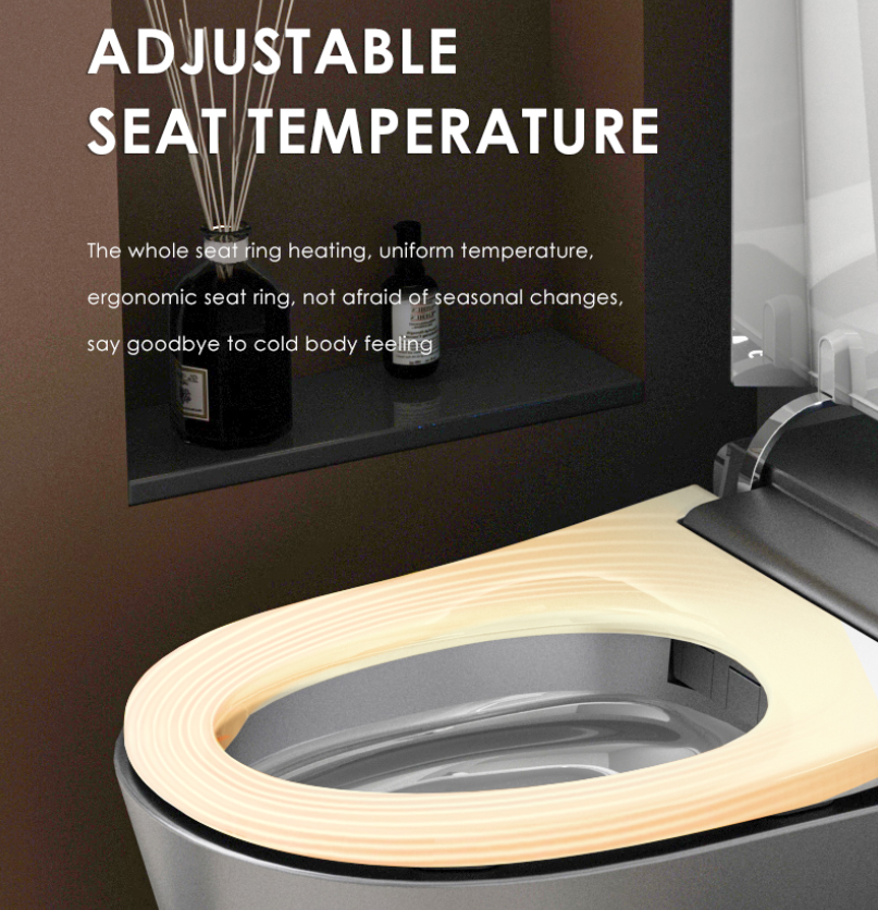 Floating Futuristic Luxury Smart Toilet