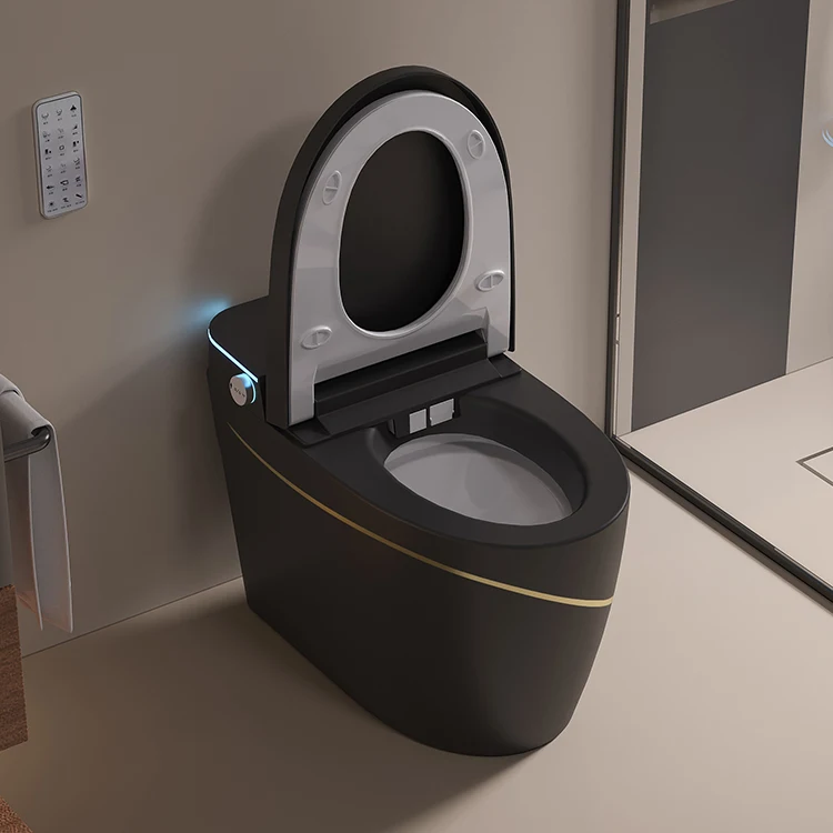 Black Pearl Futuristic Intelligent Elegant Toilet