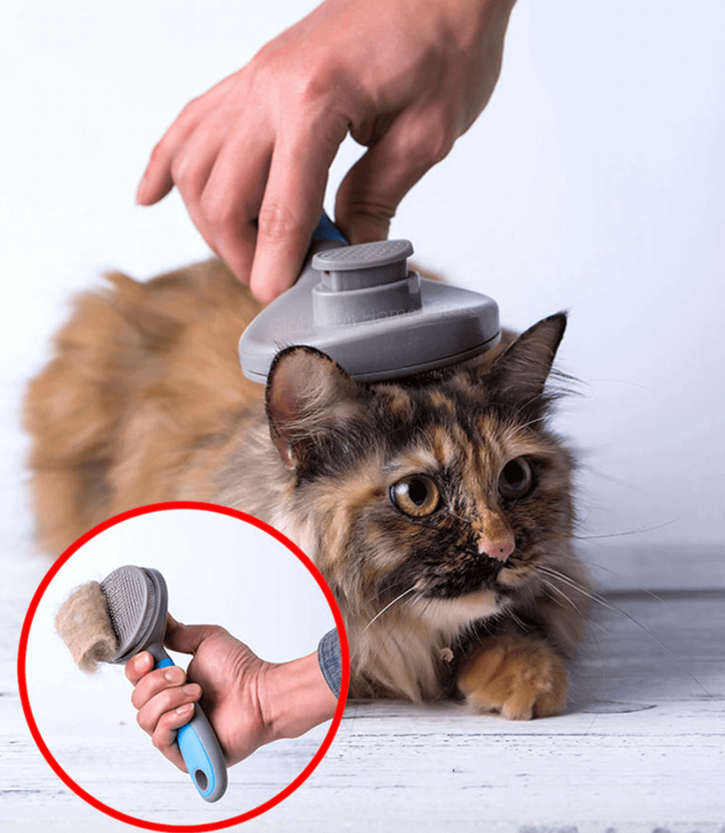 Pet Cat Hair Removal Brush - MaviGadget