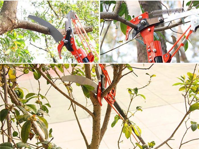 High-Altitude Outdoor Tree Trimmer Scissor - MaviGadget