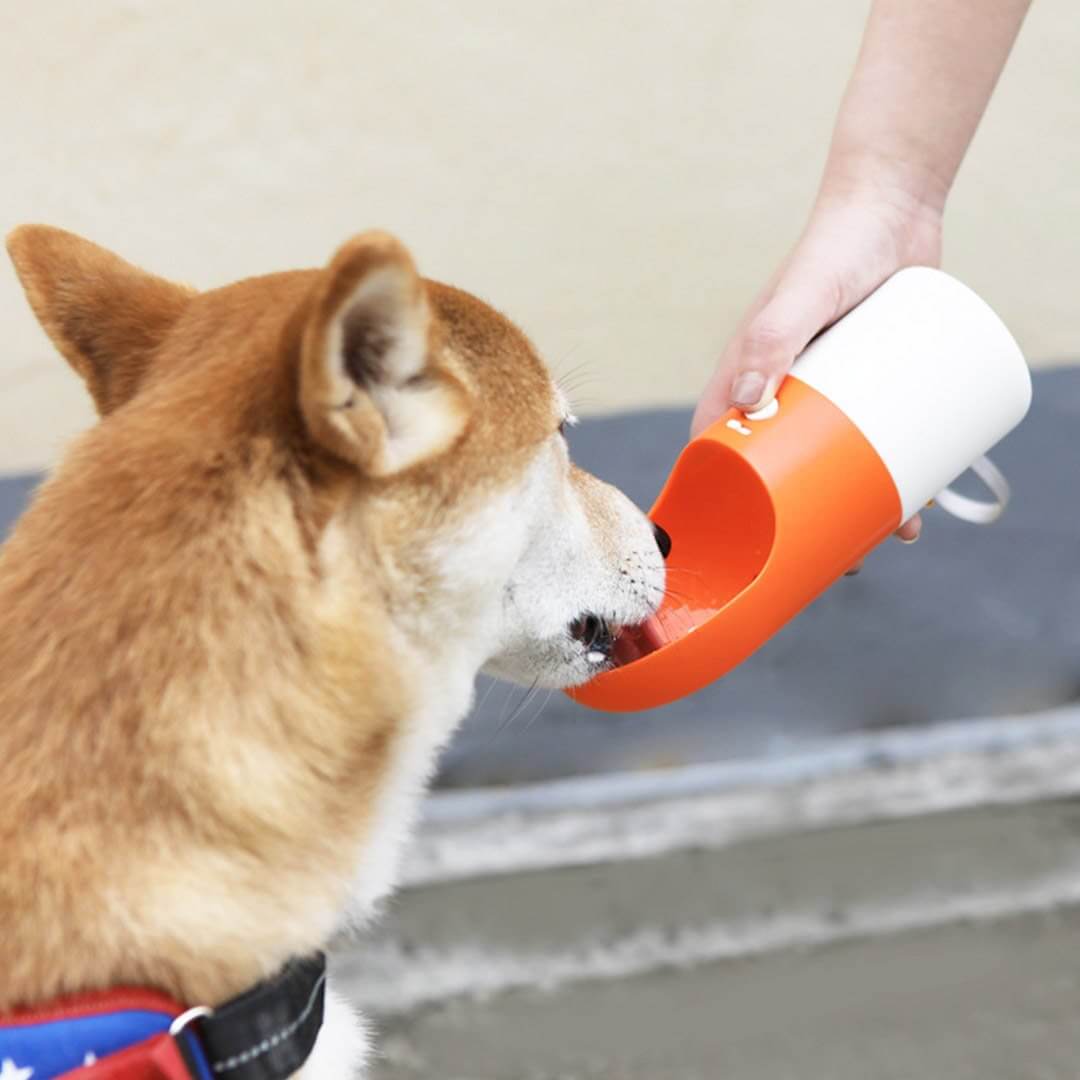 Rocket Portable Travel Dog Water Bottle - MaviGadget