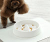 Modern Pet Slow Food Bowl - MaviGadget