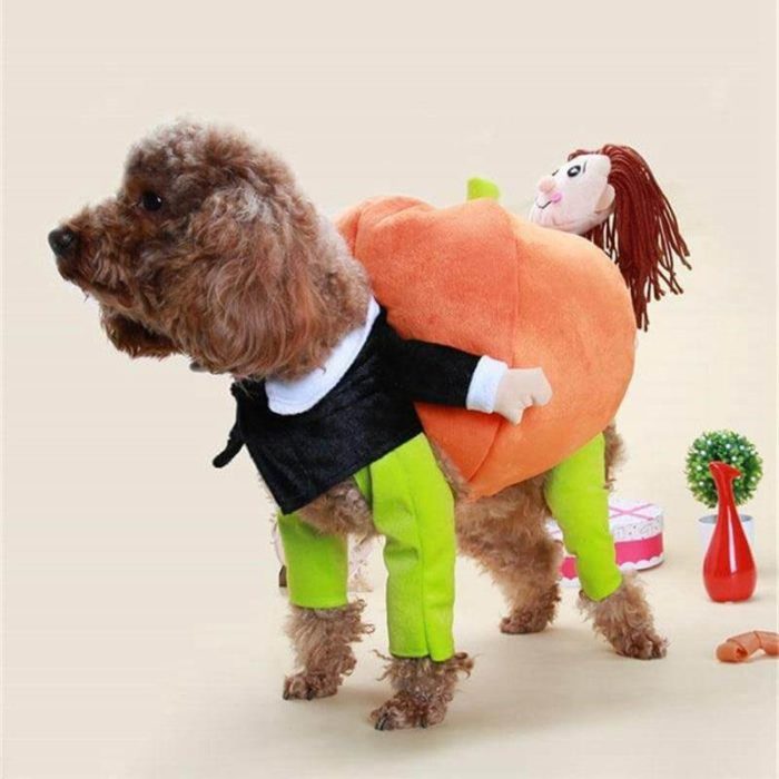 Dog Pumpkin Costume - MaviGadget