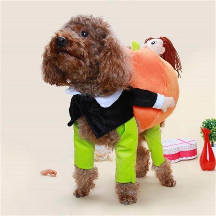 Dog Pumpkin Costume - MaviGadget