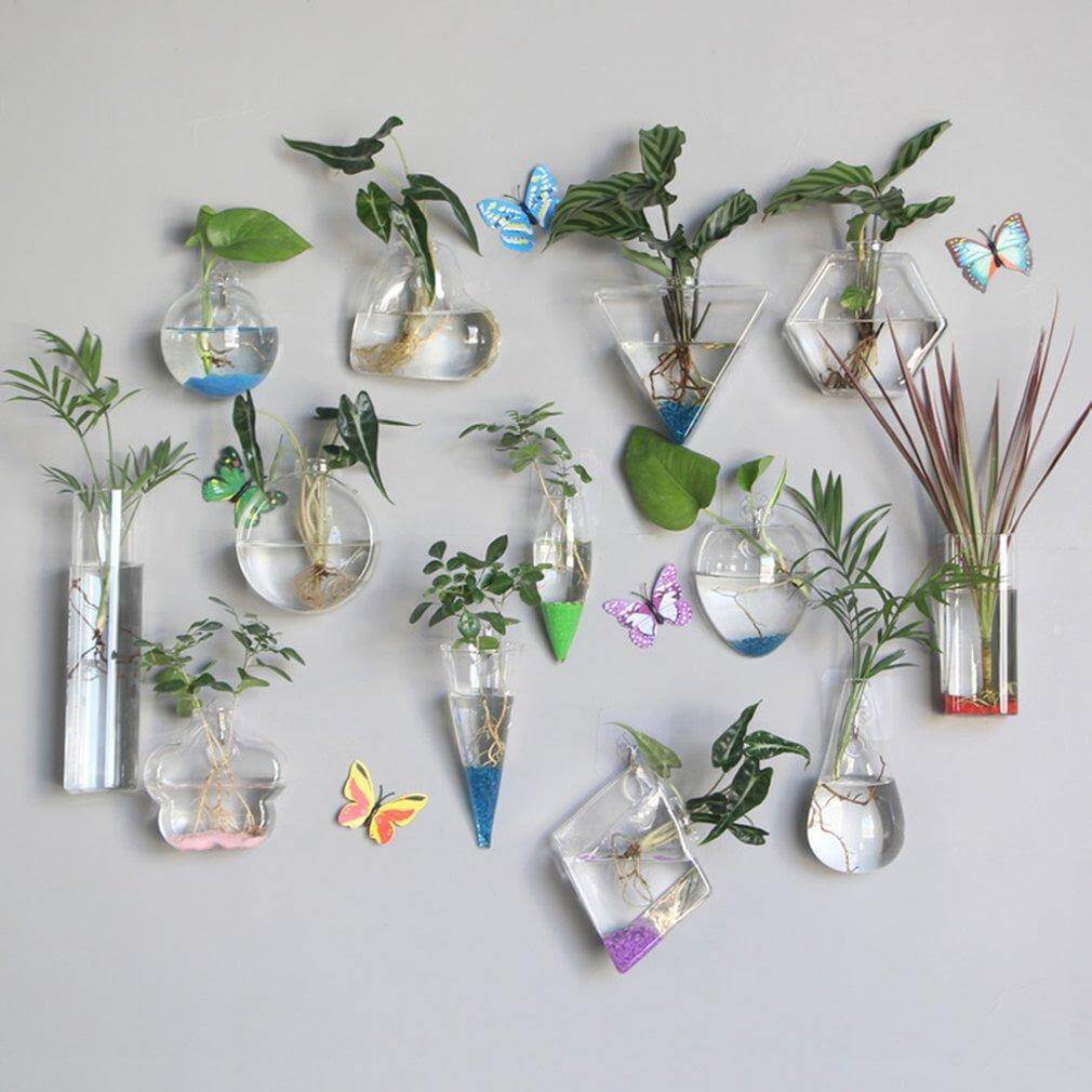 Wall Hanging Hydroponic Glass Vases - MaviGadget