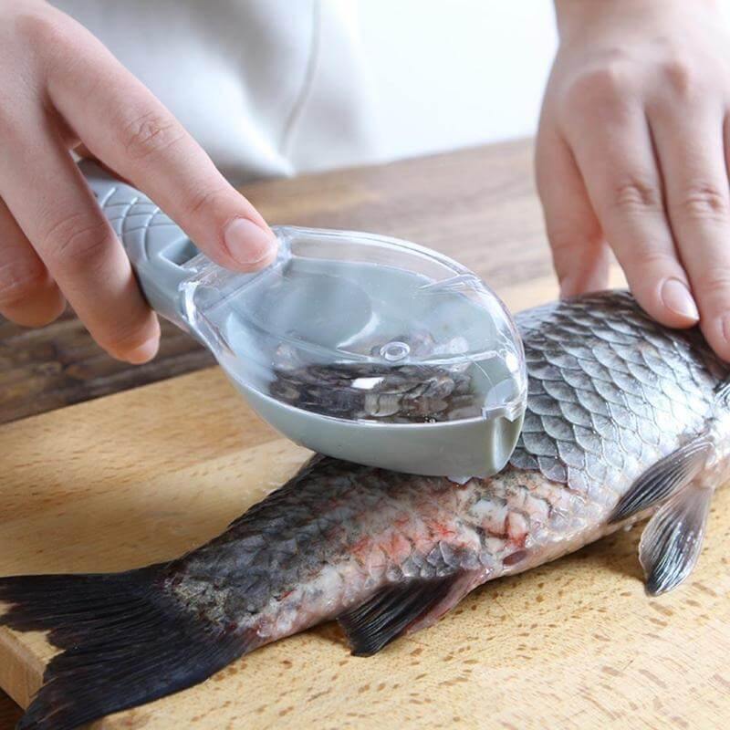 Fish Skin Scraper Gadget - MaviGadget