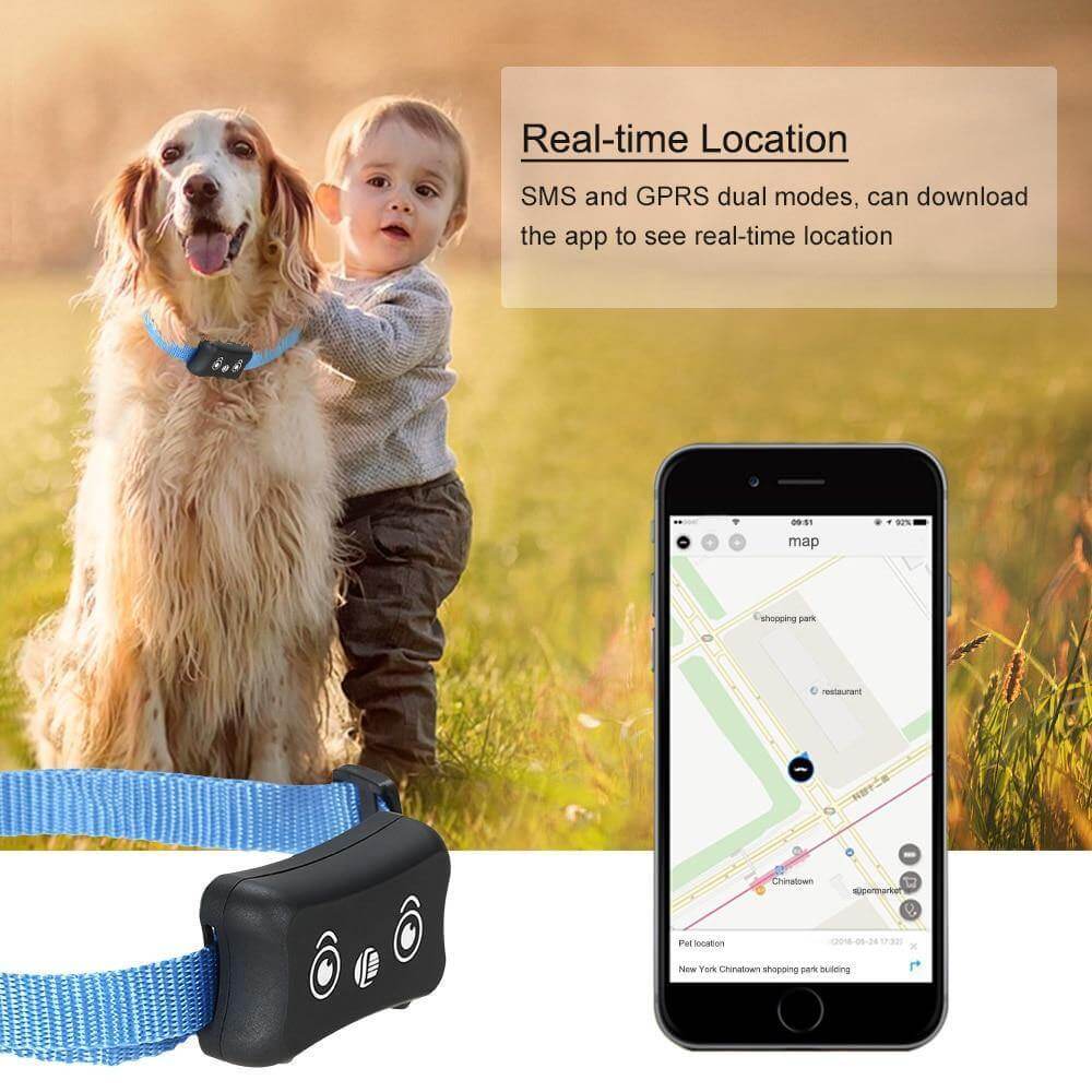 Waterproof GPS Pet Tracking Collar - MaviGadget