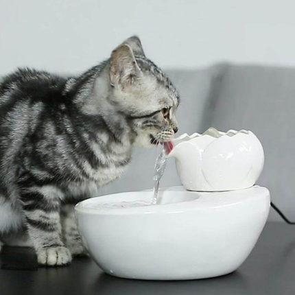 Ceramics Cat Water Dispenser - MaviGadget