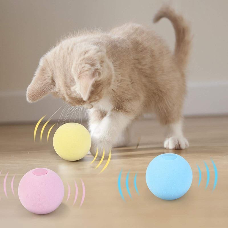 Pet Interactive Training Sound Ball - MaviGadget