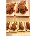 3D Cute Dog Shaped Ice Cream Chocolate Silicone Mold - MaviGadget