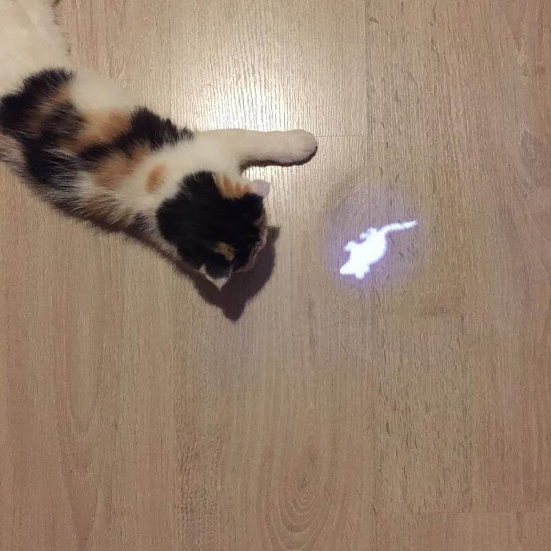 Funny Laser Cat Toy - MaviGadget