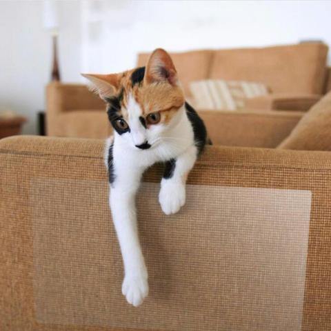 Furniture Cat Scratch Guards Mat - MaviGadget