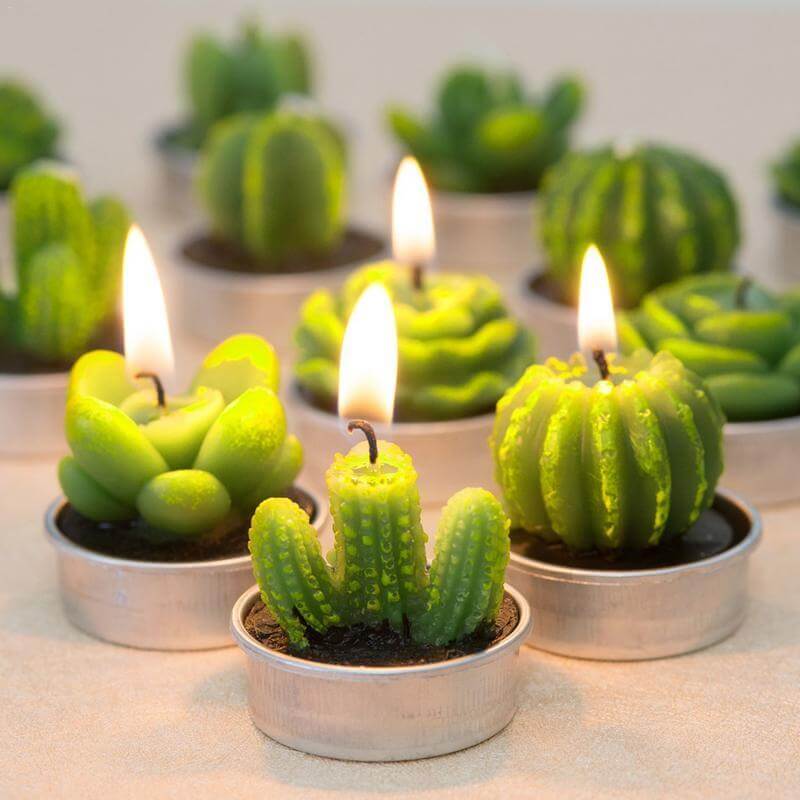12Pcs Cactus Aroma Candle - MaviGadget
