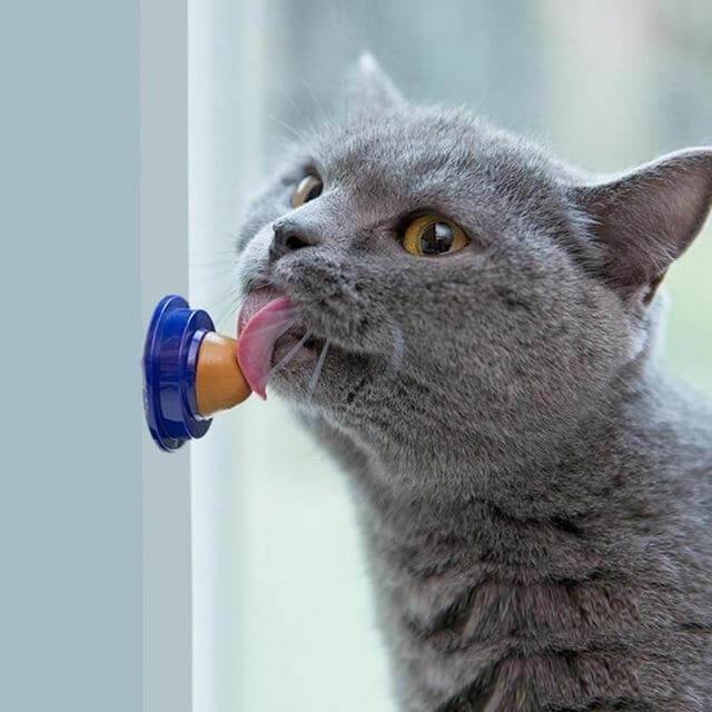 Cat Snacks Licking Tool - MaviGadget