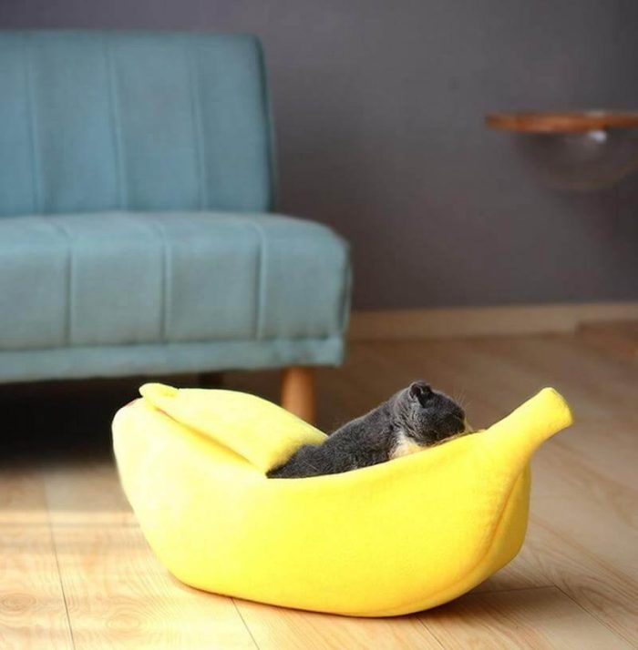 4 Colors Cute Banana Peel Cat House - MaviGadget