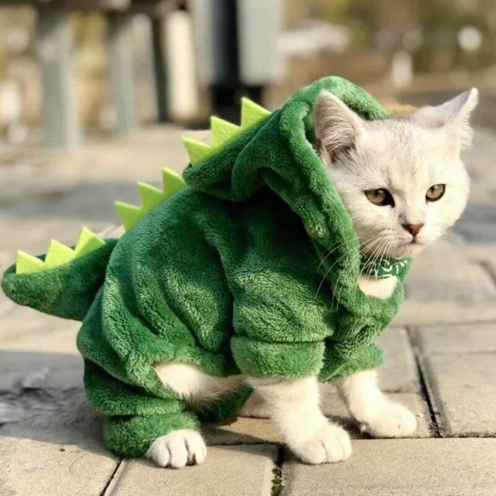 Dinosaur Funny Pet Costume - MaviGadget