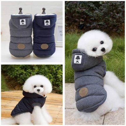 Cute Winter Pet Coat for Cat and Dogs - MaviGadget